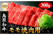 B24-455 【肉のとうはく】鳥取和牛モモ焼肉用