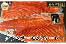 B24-462 琴浦　グランサーモンフィーレ(総目方1kg~1.2kg） 【数量限定】