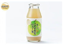 B24-442 贅沢二十世紀梨ジュース 180ml　10本セット