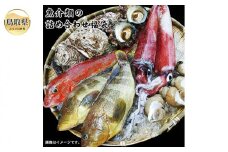 B24-486 魚介類の詰め合わせ