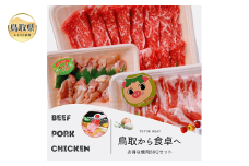 が24-010 鳥取県産 焼肉セット 1kg(３～5人前) 牛肉 豚肉 鶏肉 焼き肉 バーベキュー BBQ ファミリーセット