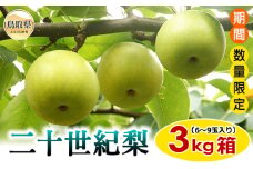 A24-054 梨(二十世紀梨)【期間･数量限定】