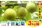 A23-54 梨(二十世紀梨)【期間･数量限定】