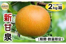 A24-055 梨(新甘泉)【期間･数量限定】