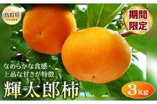 B24-053 柿(輝太郎柿)【期間限定】