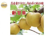 ✕　B24-502 新甘泉3キロ（6-10玉程度入）（L-4Lサイズ）【進物用】【期間限定】