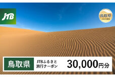 F24-117 【鳥取県】JTBふるさと旅行クーポン（Eメール発行）30,000円分
