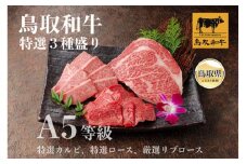 D24-157 鳥取和牛 A5等級 特選３種盛り（特選カルビ150g、特選ロース150g、厳選リブロース200g） 鳥取県 おすすめ 霜降り 牛肉 牛肉食べ比べ 牛肉セット