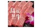 鳥取和牛A5等級　特選カルビ 500g 焼肉用・特製味噌ダレ付