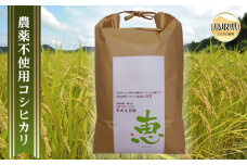 D24-159 (※お歳暮専用※)奥大山産　農薬不使用　コシヒカリ「恵」　10kg【数量限定】