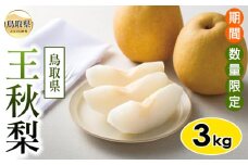 B24-553 鳥取県産 王秋梨【期間･数量限定】