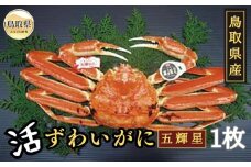 F24-121 鳥取県産 活ずわいがに 五輝星【期間･数量限定】 鳥取県 おすすめ 松葉かに ズワイガニ