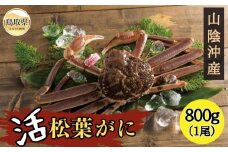 F24-122 活ずわいがに松葉がに【期間･数量限定】 鳥取県 おすすめ 松葉かに ズワイガニ
