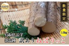 A24-340 訳ありねばりっこ 1.5kg【数量限定】