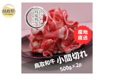 B25-001 鳥取和牛小間切れ　冷凍500g×2 鳥取県 おすすめ 和牛 牛肉 ブランド牛 オレイン酸