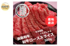 D25-002 鳥取和牛ローススライス　冷凍500g 鳥取県 おすすめ 和牛 牛肉 ブランド牛 霜降り オレイン酸