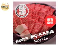 D25-005 鳥取和牛モモ焼肉　冷凍500g×2 鳥取県 おすすめ 和牛 牛肉 ブランド牛 赤身 オレイン酸