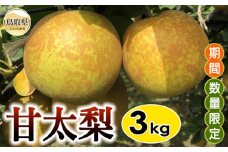 B25-014 甘太梨　3㎏【期間･数量限定】