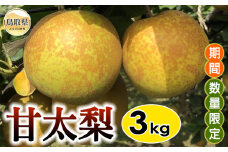 B25-014 甘太梨　3㎏【期間･数量限定】