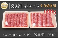 B25-019 交美牛肩ロースすき焼き用　６００ｇ【交雑種】 鳥取県 おすすめ 和牛 霜降り 国産牛