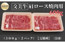 B25-020 交美牛肩ロース焼肉用 ６００ｇ【交雑種】 鳥取県 おすすめ 和牛 霜降り 国産牛