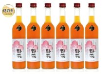 D25-011 鳥取県の美味しい酒　梅酒　野花（のきょう）6本セット