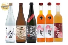C25-016 鳥取県の美味しい酒　焼酎・梅酒　6本セット