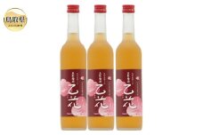 B25-029 鳥取県の美味しい酒　梅酒　乙花（おとか）　３本セット