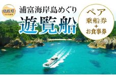C25-019 浦富海岸島めぐり遊覧船ペア乗船券