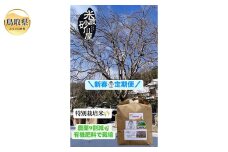 C25-012 【定期便3回】新春定期便【数量限定】