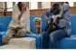 犬猫関連の無料相談、犬育てトレーニング、健康管理教室開催