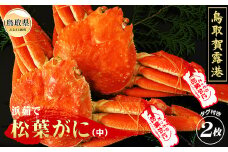 E25-010 鳥取賀露港　浜茹で松葉がに（中）【期間限定】 鳥取県 おすすめ ボイル 松葉かに ズワイガニ
