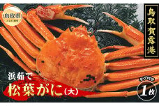 E25-011 鳥取賀露港　浜茹で松葉がに（大）【期間限定】 鳥取県 おすすめ ボイル 松葉かに ズワイガニ