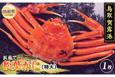 F25-007 鳥取賀露港　プレミアム浜茹で松葉がに【期間限定】 鳥取県 おすすめ ボイル 松葉かに ズワイガニ