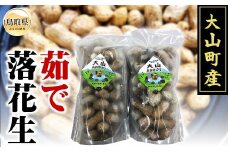 B25-040 大山町産 茹で落花生（オオマサリ　1kg）