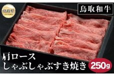 B25-050 鳥取和牛肩ロースしゃぶしゃぶすき焼き 250g