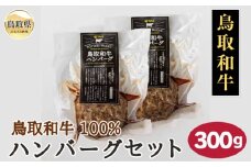 A25-021 鳥取和牛100％ハンバーグセット300g 鳥取県 おすすめ 和牛 牛肉 お肉 ハンバーグ 国産