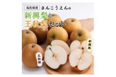 新興梨・王秋梨詰め合わせ 5kg箱 (玉数は合わせて約6～12玉)