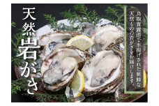鳥取賀露港 天然岩がきセット【かねまさ・浜下商店】