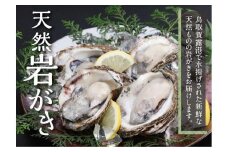 鳥取賀露港 天然岩がきセット【かねまさ・浜下商店】