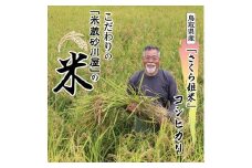【2025年9月下旬～発送予定】鹿野のさくら姫米 6kg ( 3kg×2袋 )