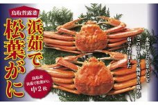 鳥取賀露港 浜茹で松葉がに【かねまさ・浜下商店】