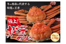 鳥取県産 タグ付き茹で松葉がに【中村商店】