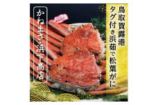鳥取賀露港 タグ付き浜茹で松葉がに【かねまさ・浜下商店】