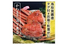 鳥取賀露港 タグ付き浜茹で松葉がに【かねまさ・浜下商店】