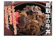 とりちく牛丼の素・鳥取ビーフハンバーグ詰め合わせ