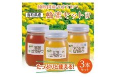 蜂蜜セット B