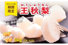 王秋梨 5kg【やぶやフルーツガーデン】