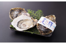 鳥取賀露港 天然岩がき「夏輝」セット【かねまさ・浜下商店】