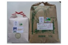 【2025年9月下旬～発送予定】おいしい米食べ比べセットB